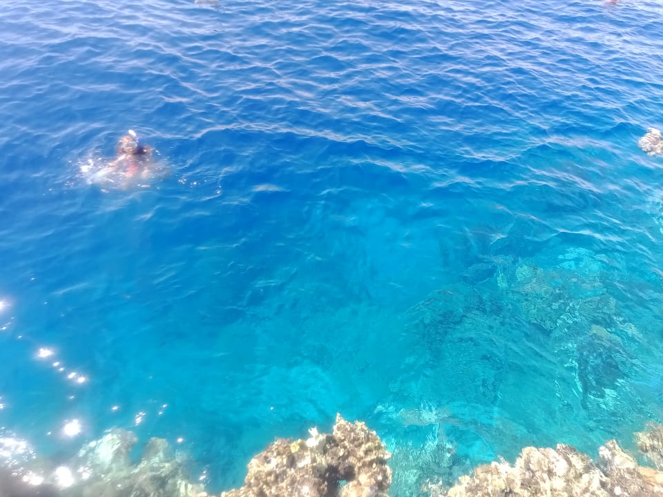 Strand Pickalbatros Palace Hotel-Port Ghalib