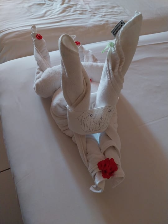 Zimmer Jaz Dar EL Madina