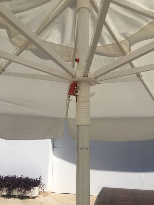 Pool Monachus Family Resort Sorgun