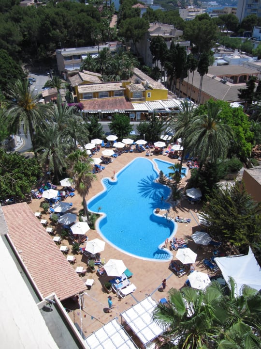 Pool Valentin Reina Paguera