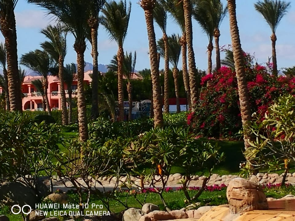 Gartenanlage Parrotel Beach Resort