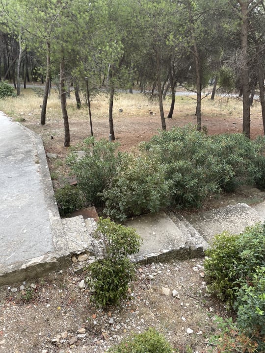 Gartenanlage Medena Hotel