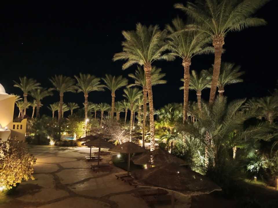 Gartenanlage Grand Makadi