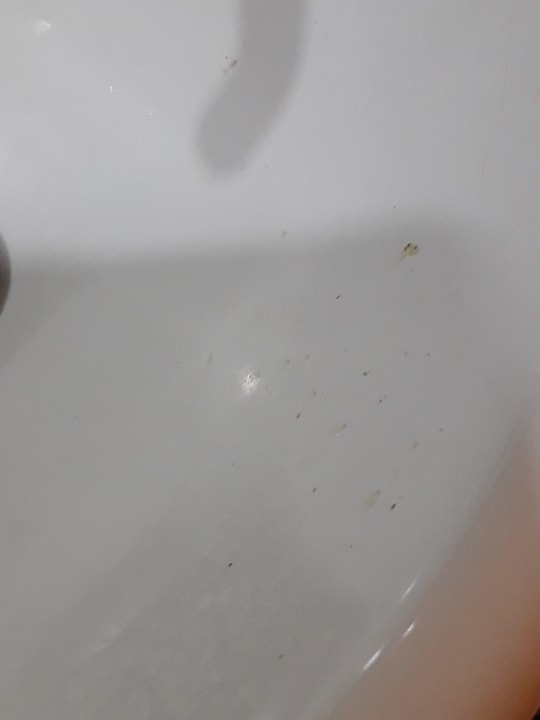 Zimmer Cleopatra Taç Hotel & Apart