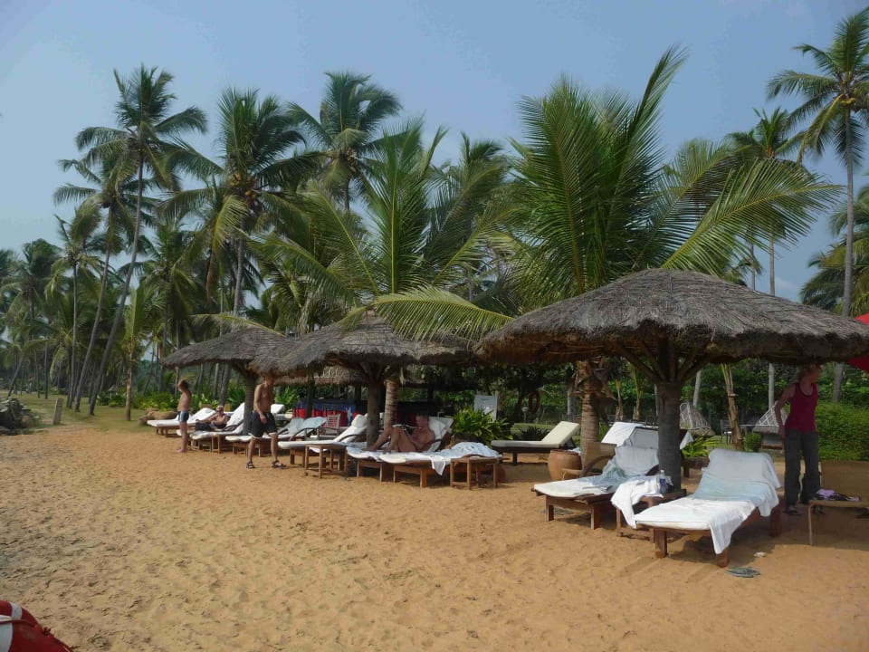 Absolut top Sandstrand Hotel Vivanta by Taj Kovalam