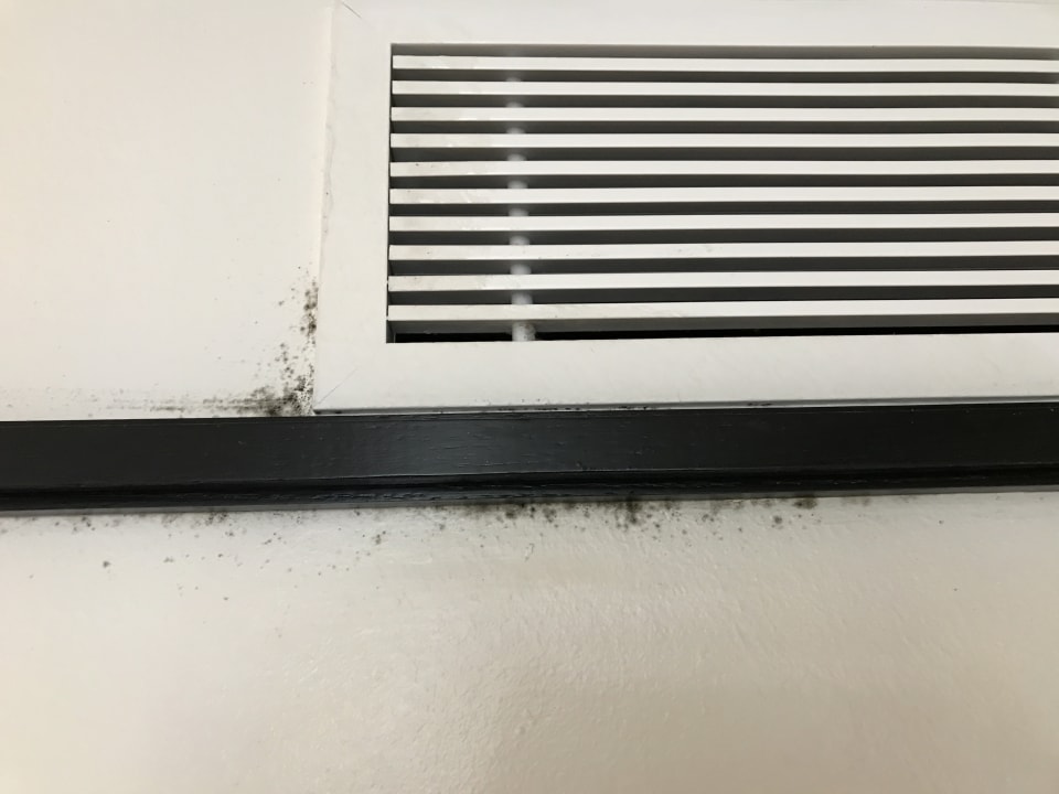 Zimmer H10 Rubicón Horizons Collection