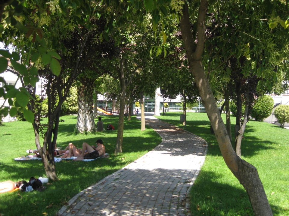 Garden Hotel Best Osuna Madrid Feria