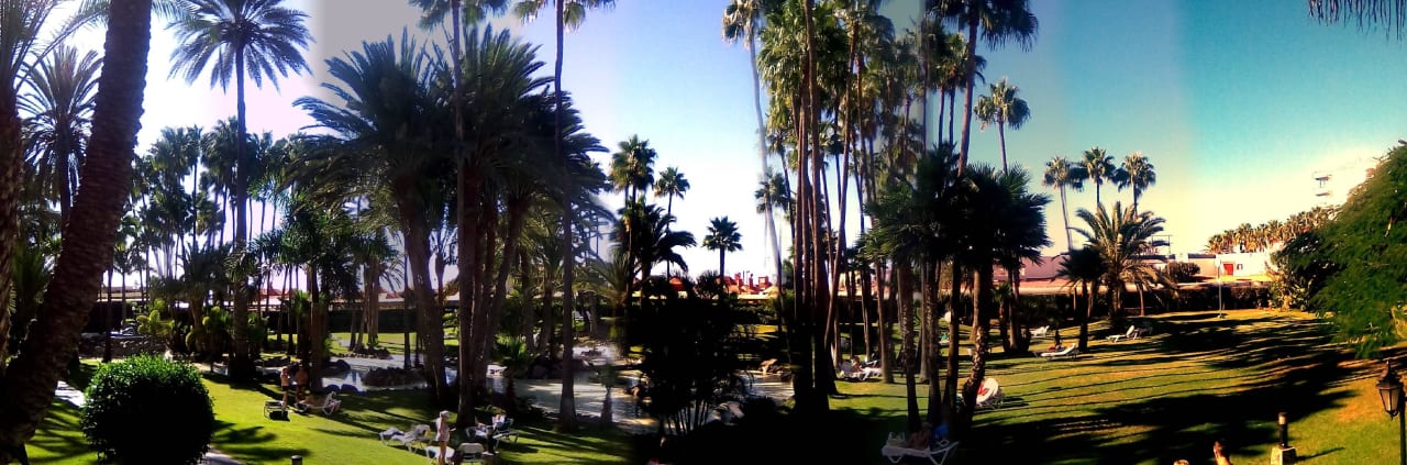 Garten meerseitig Hotel Riu Palace Oasis