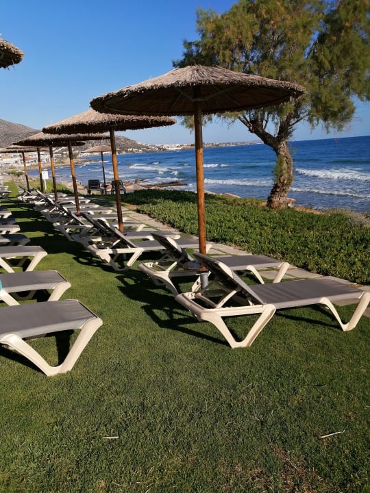 Strand Cactus Mare - Adults only