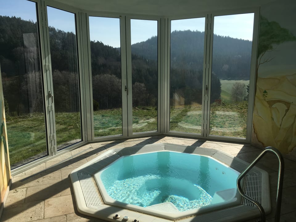 Pool Zedernhof Gesundheits- & Wellnesshotel