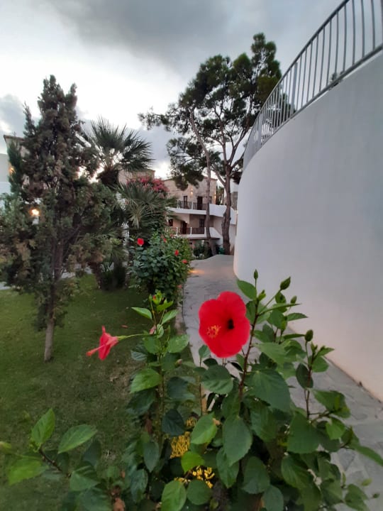 Gartenanlage The Costa Lindia Blue Star - Adults only