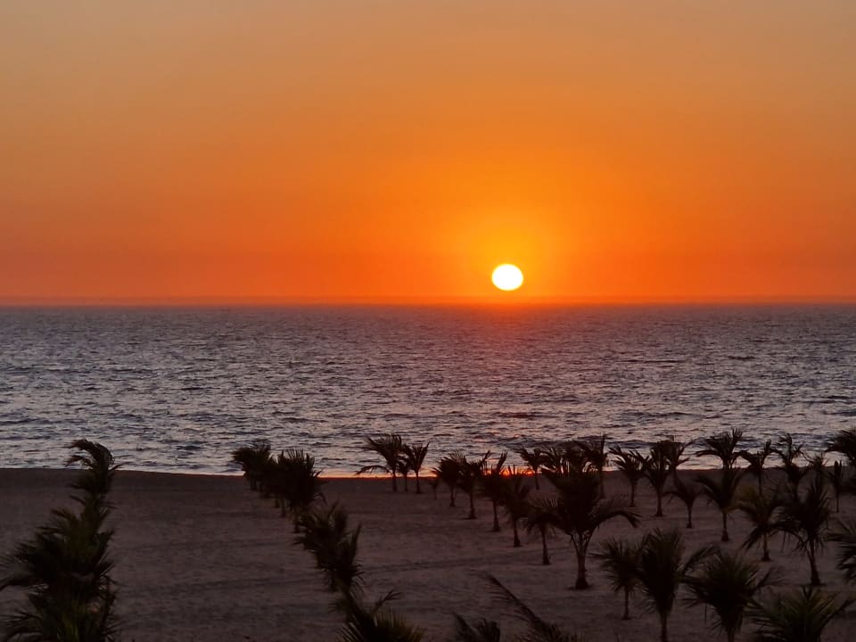 Ausblick Hotel Riu Baobab - All Inclusive