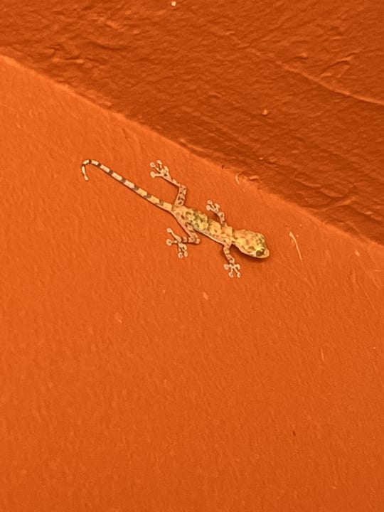 Zimmer Titanic Beach Spa & Aqua Park