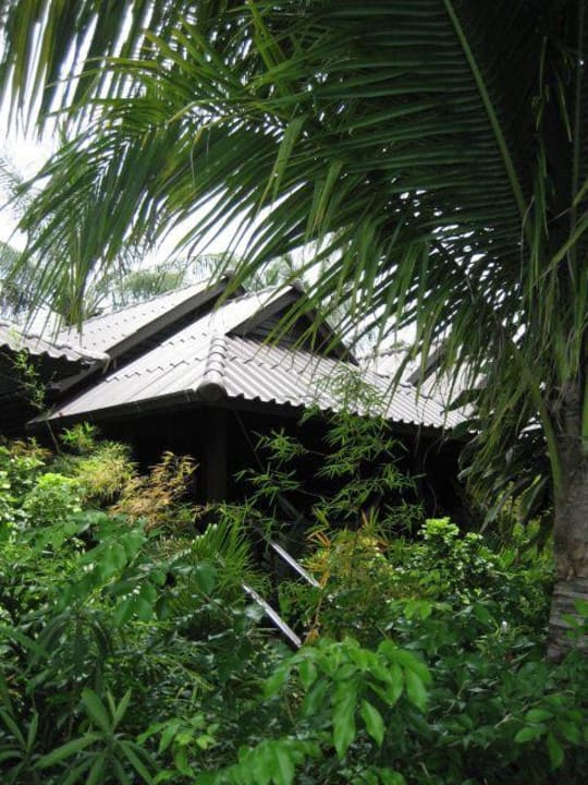 Blick vom Pool zum Bungalow Hotel Salad Hut