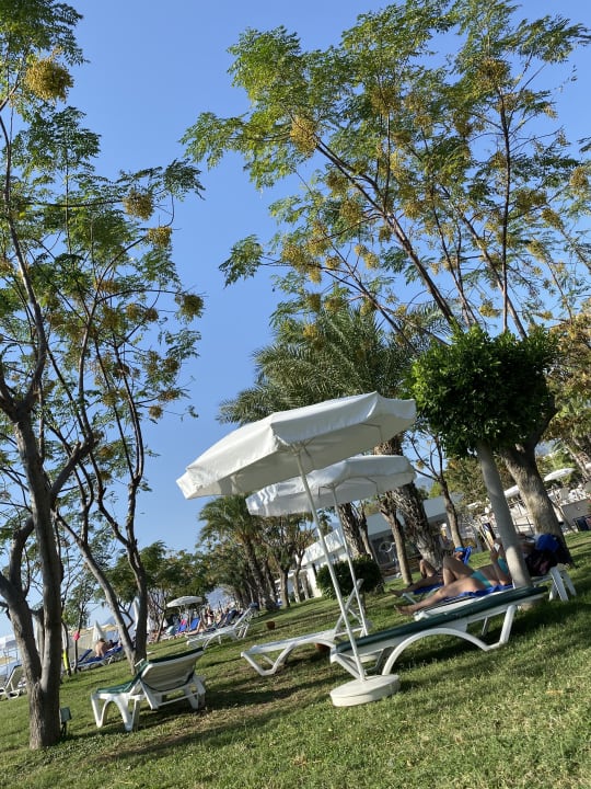 Garten Labranda Alantur Resort