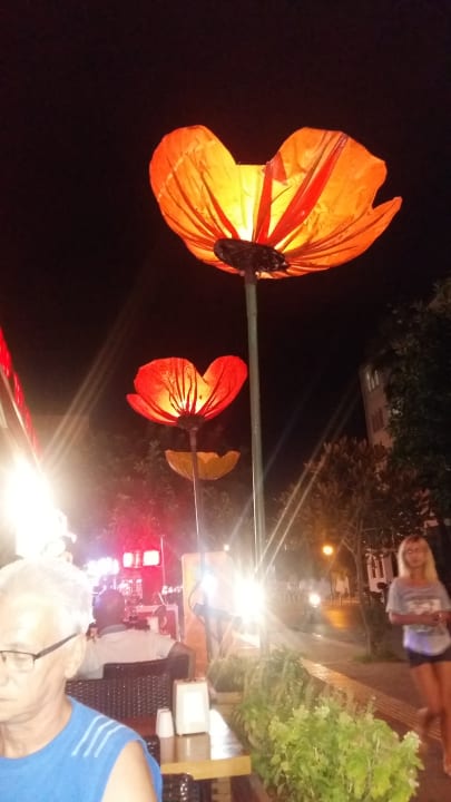 Restaurant Hotel Aslan City Kleopatra