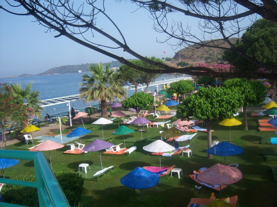 Widok z tarasu na ogród Hotel Grand Efe