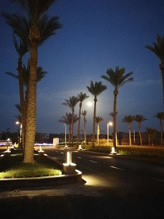 Ausblick Pickalbatros Alf Leila Wa Leila Resort - Neverland Hurghada