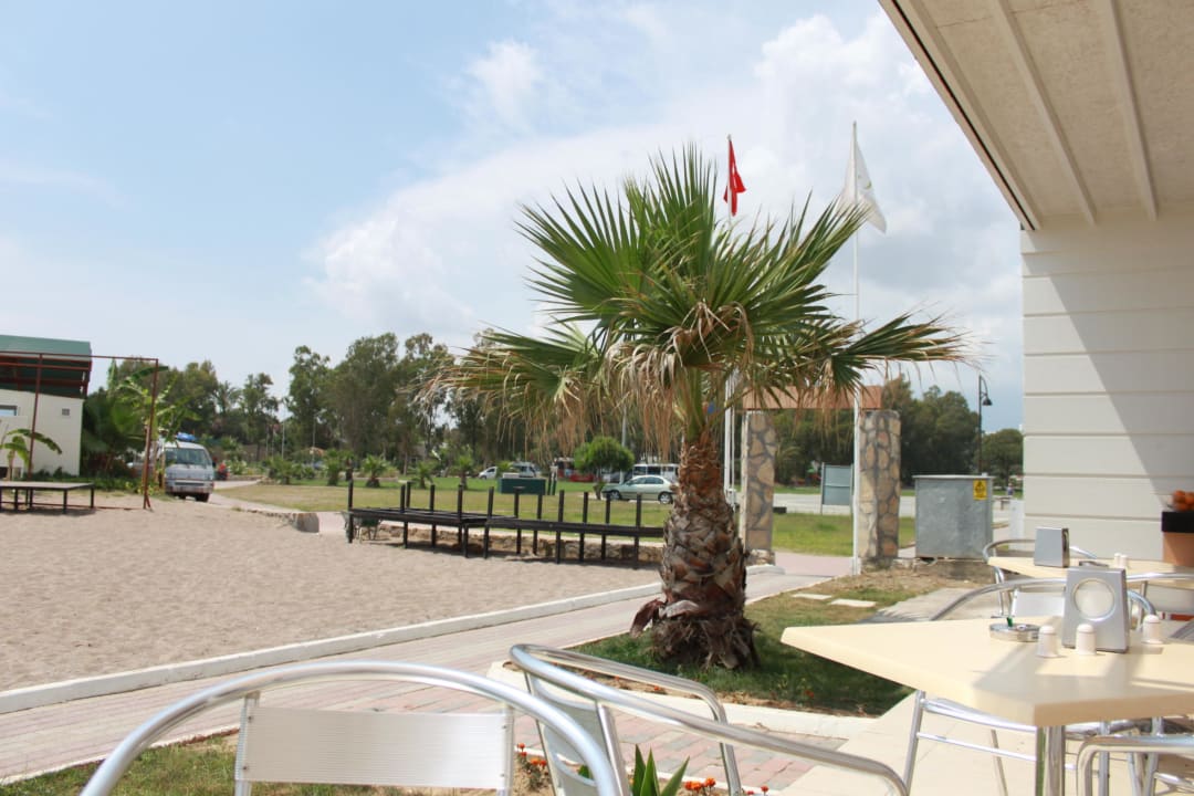 Am Strand Asteria Collection Side