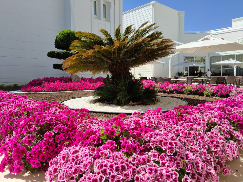 Gartenanlage Monachus Family Resort Sorgun