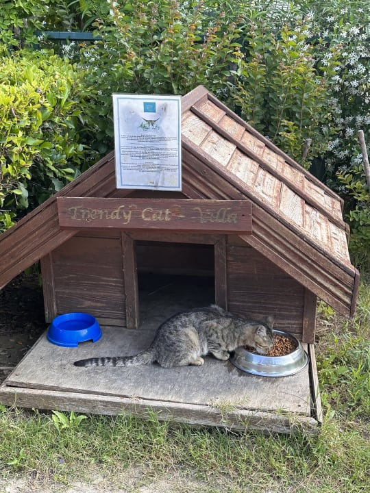 Sonstiges Sentido Trendy Verbena Beach