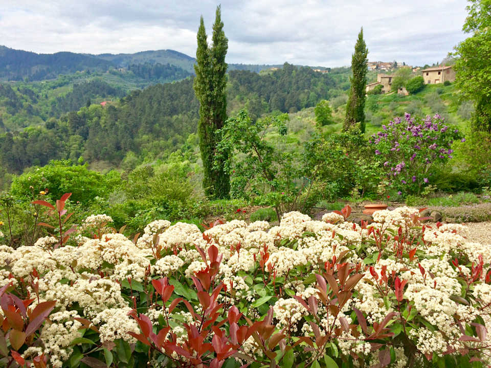 Gartenanlage Ventena Vecchia antico frantoio