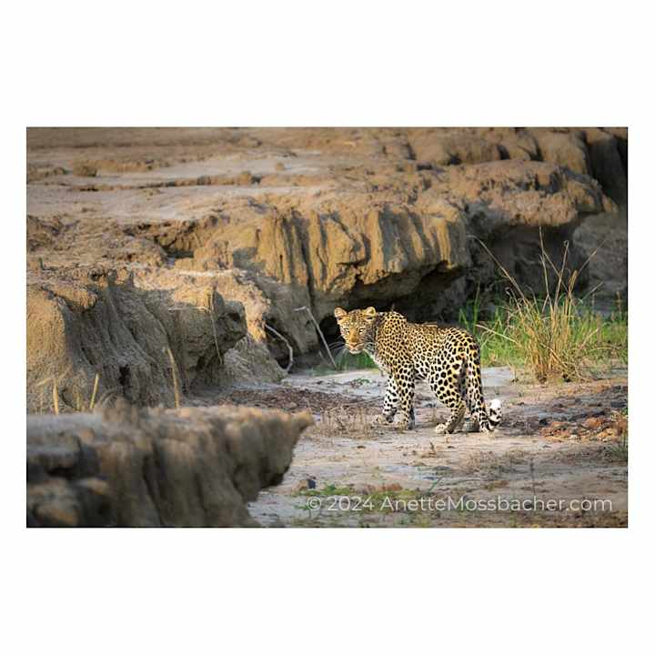 Sonstiges Mawimbi Bush Camp