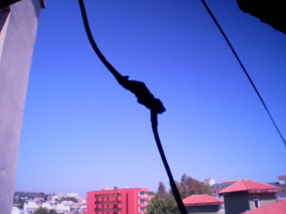 Beschädigtes Starkstromkabel Mira Meridia Beach Hotel