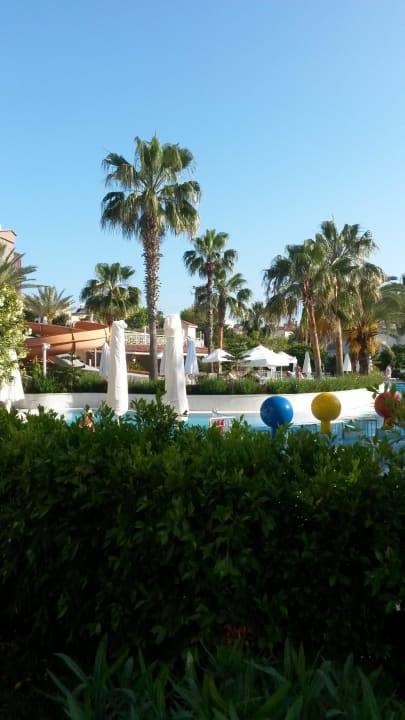 So schön gestaltet Seaden Corolla Hotel