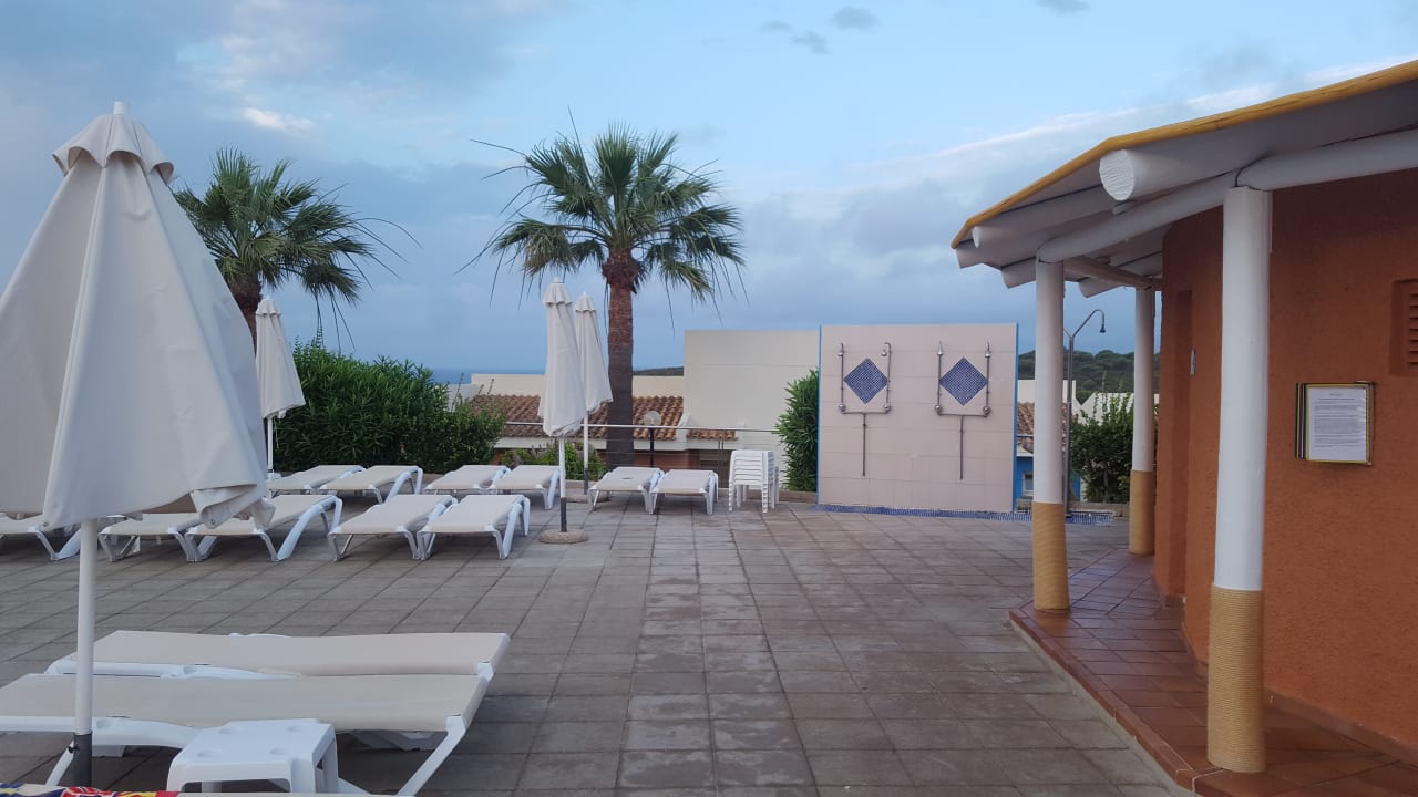 Sonstiges blau punta reina