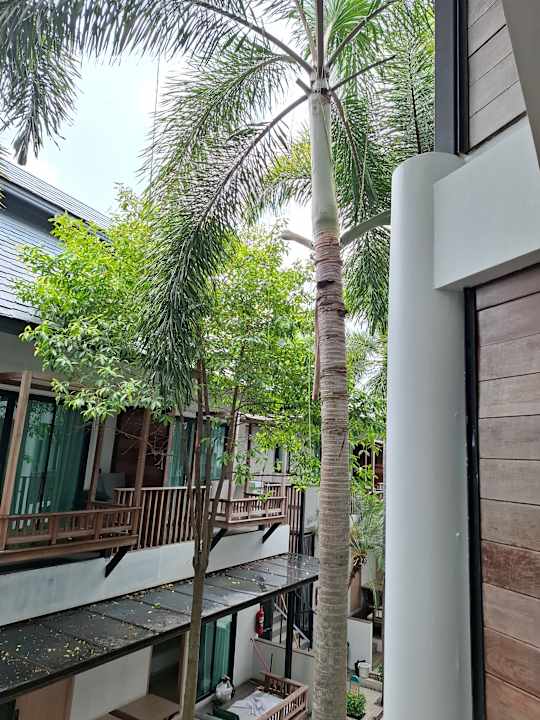 Ausblick Banlansuan Resort