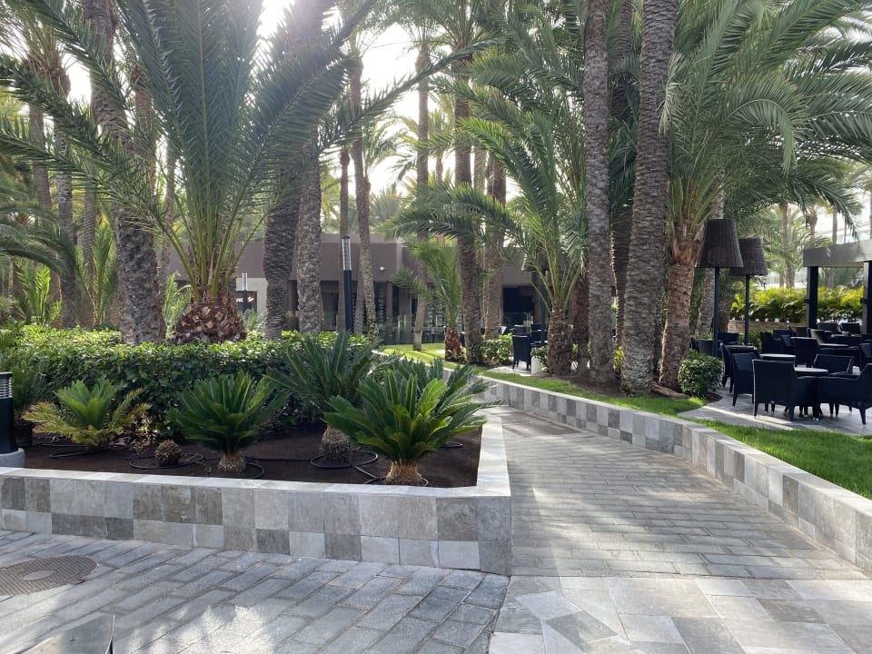 Gartenanlage Hotel Riu Palace Oasis