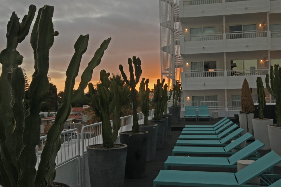 Tropic Attic Hotel Gold by Marina