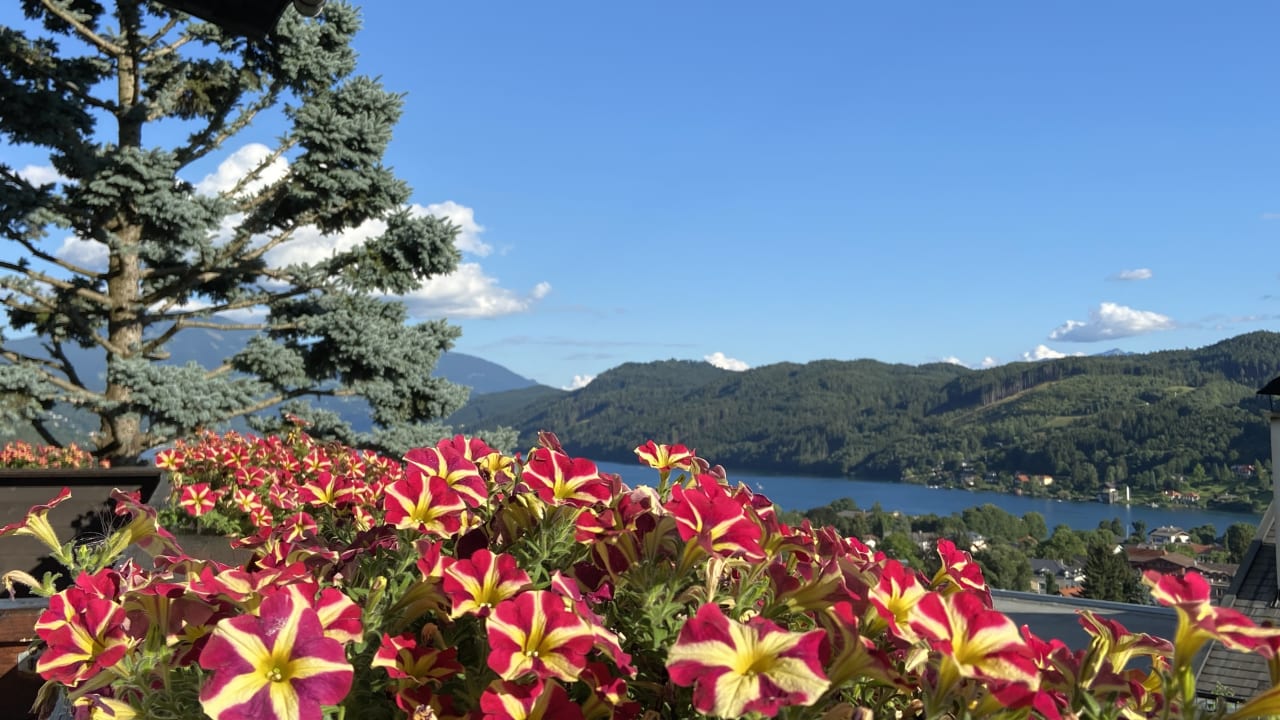 Ausblick Pension Paßler