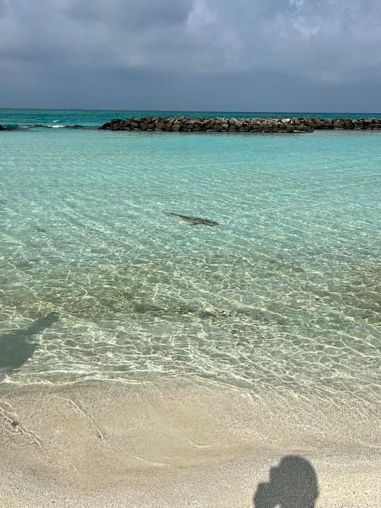 Strand Summer Island Maldives