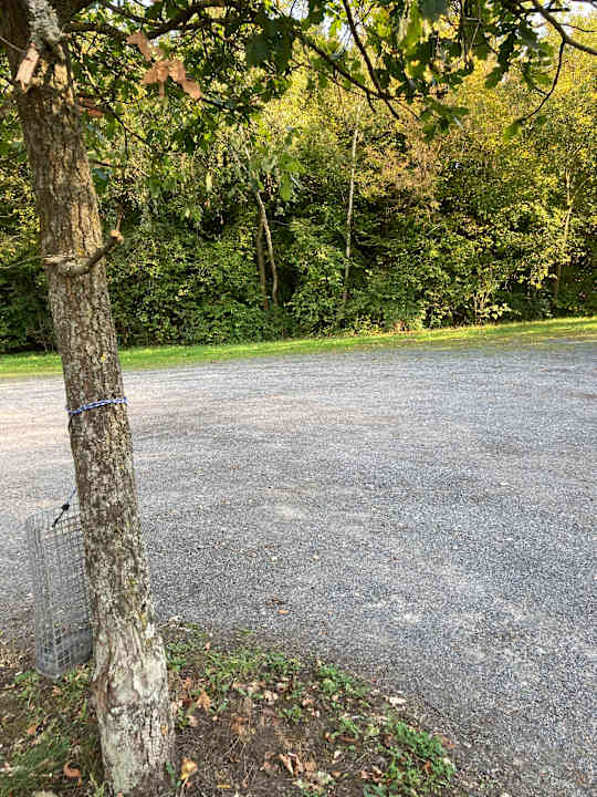 Gartenanlage Best Western Plaza Hotel Zwickau