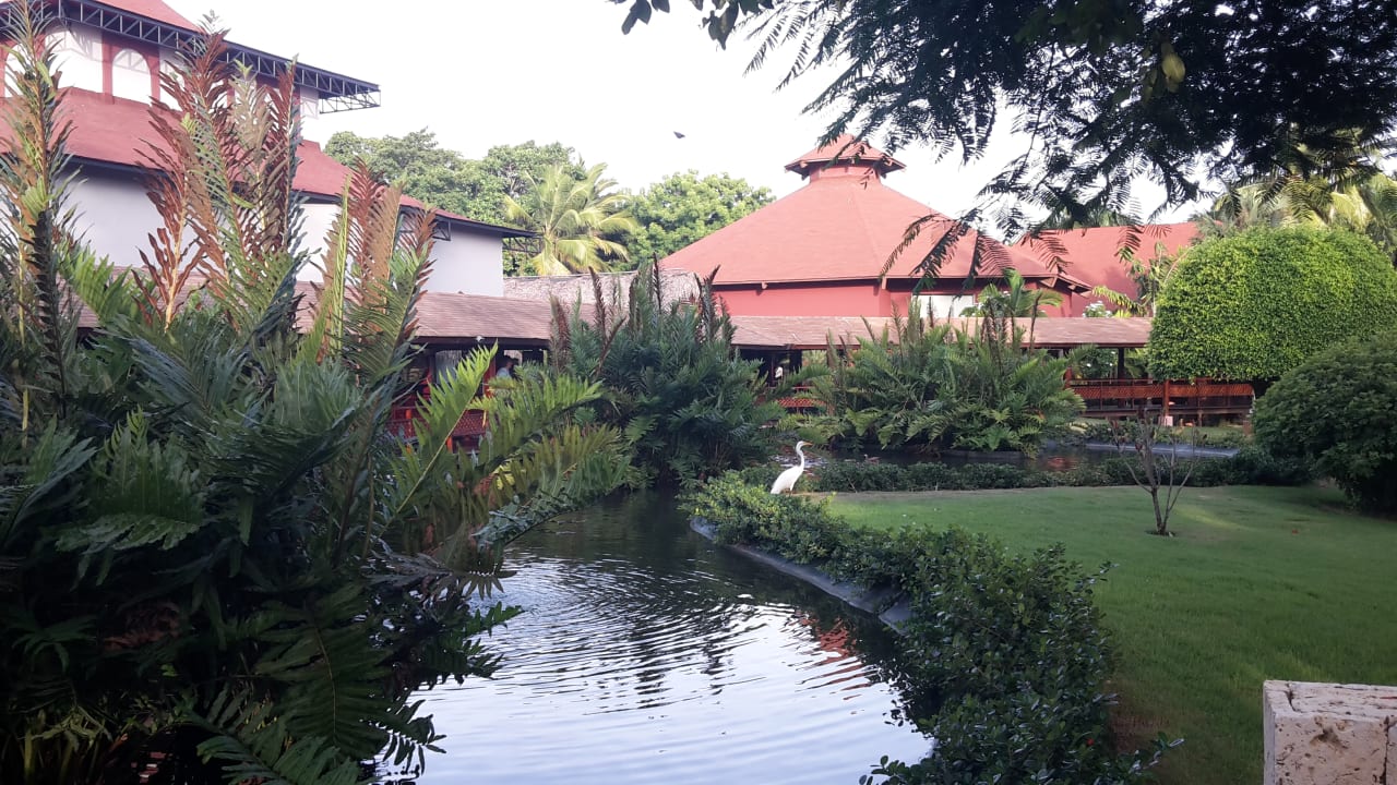 Gartenanlage Hotel Grand Palladium Palace Resort, Spa & Casino