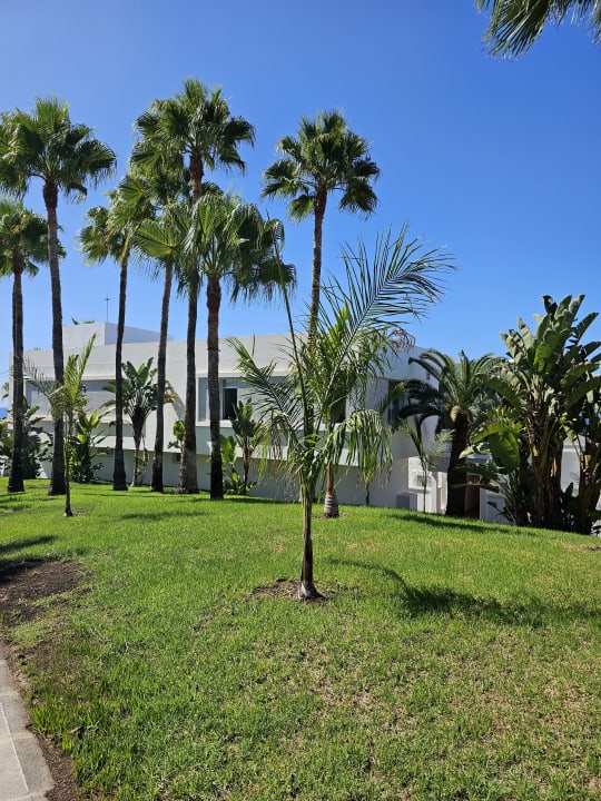 Gartenanlage Hotel Riu Gran Canaria