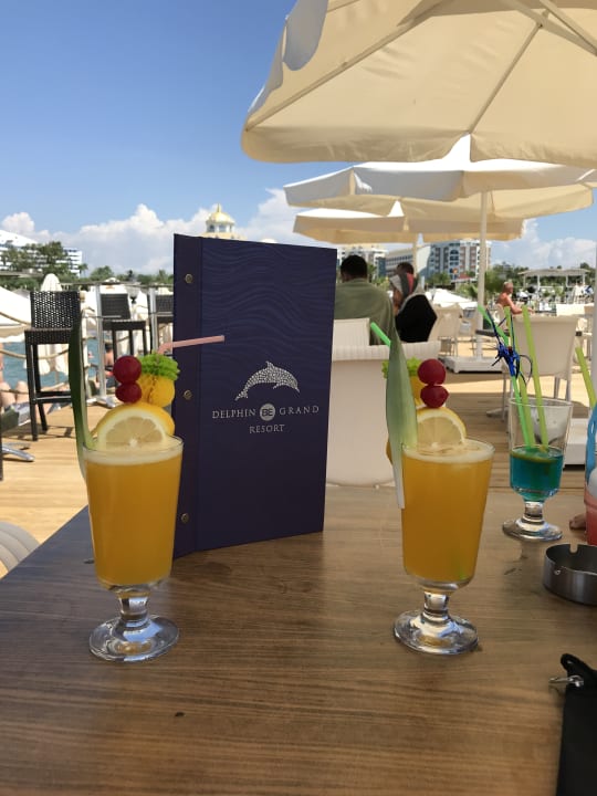 Gastro Delphin BE Grand