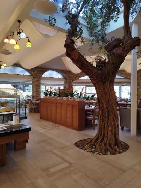 Gastro Anthemus Sea Beach Hotel & Spa
