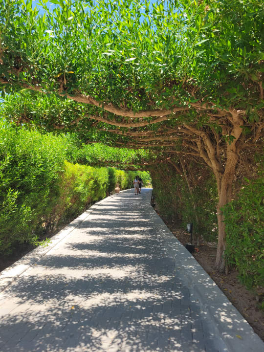 Sonstiges Jaz Aquaviva