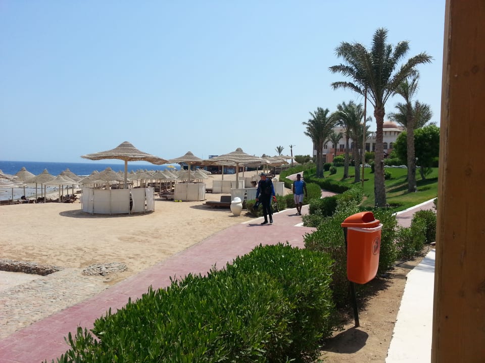 Strand Serenity Alpha Beach