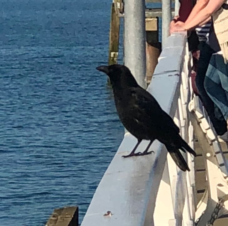 Strand PLAZA Premium Timmendorfer Strand