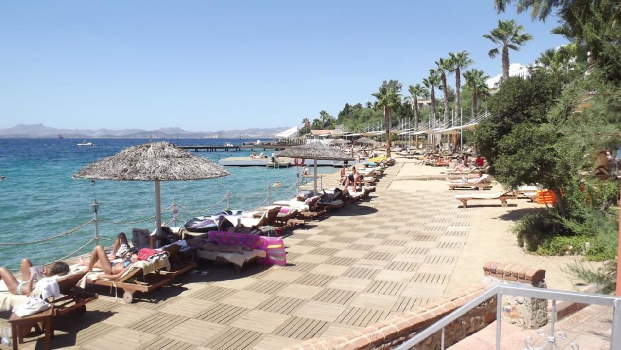 Hotel-Strand TUI MAGIC LIFE Bodrum - Adult Only (16+)