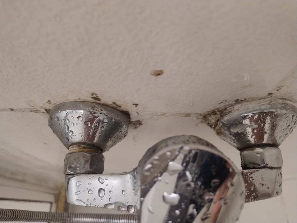 Zimmer MG Alexander The Great Hotel