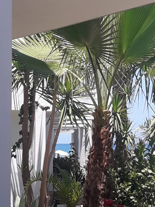 Gartenanlage HARPIN Happy Days Beach Hotel