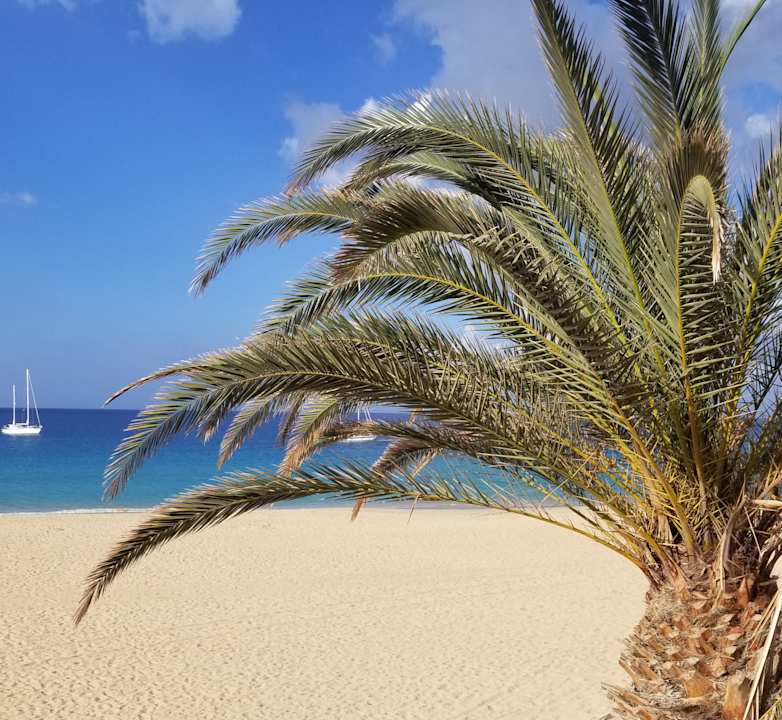 Strand Hotel Riu Palace Jandia