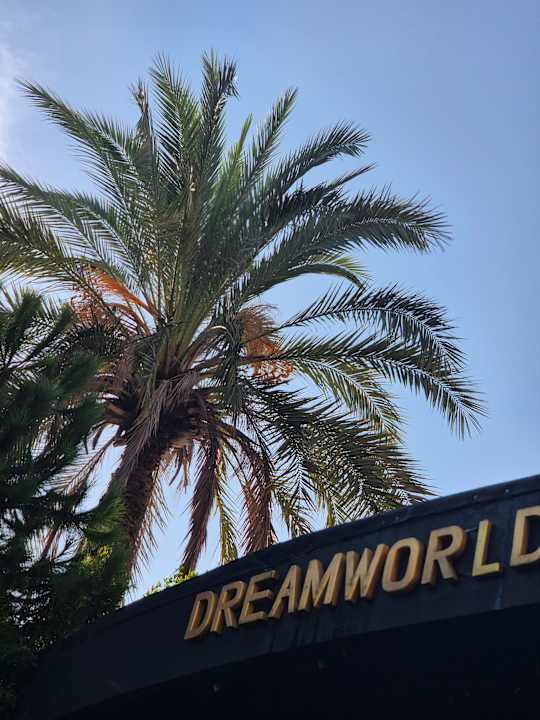 Gartenanlage Dream World Resort & Spa