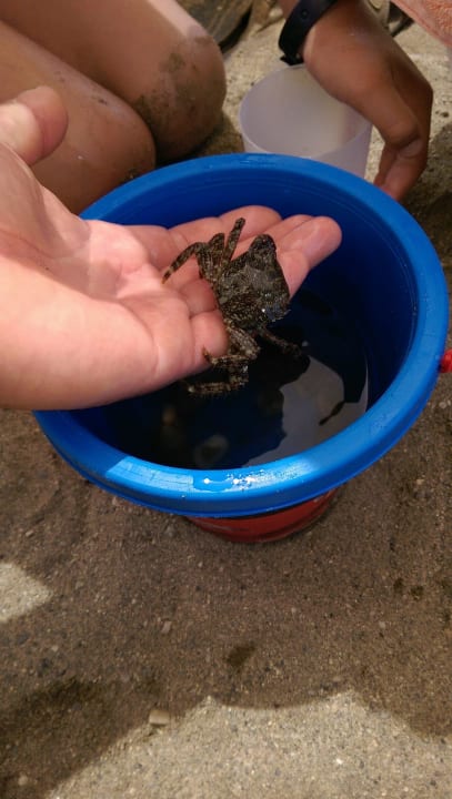 Club Turtas Beach Hotel Club Turtas Beach Hotel