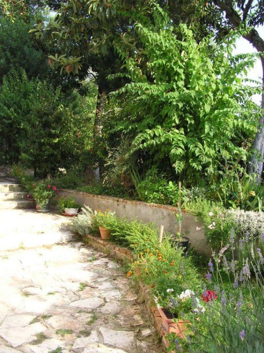 Garden Apartments Motovun